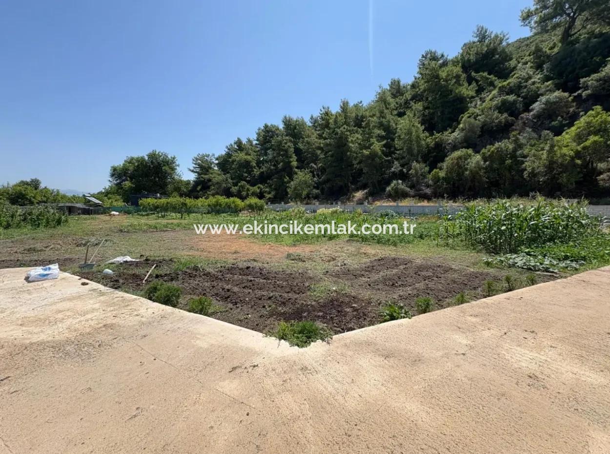 Dalyan Karadağ Mevkiinde 2500M2 Tarla İçerisinde 120M2 Müstakil Ahşap Ev