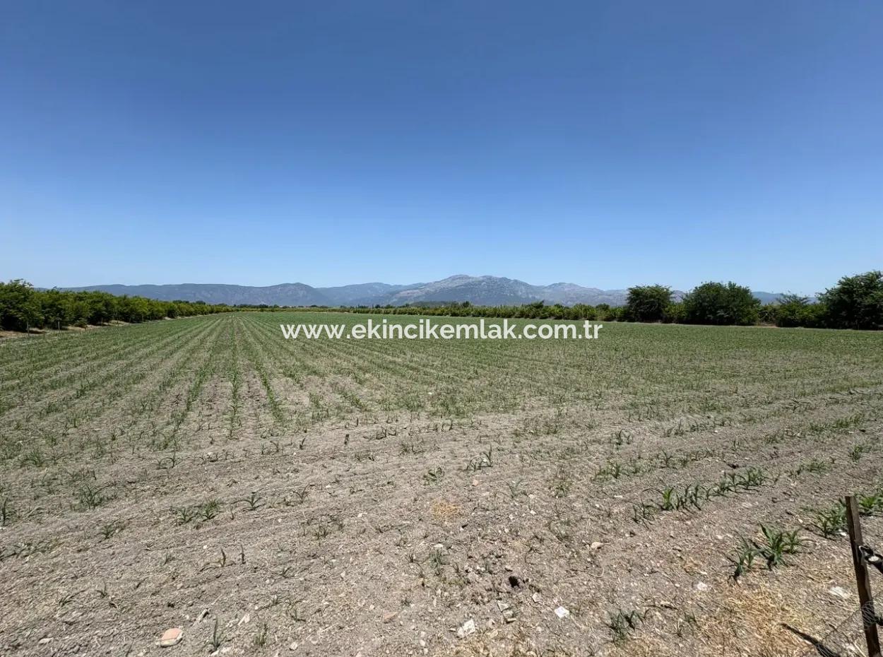 Tepearası'nda 46,550M2 Satılık Tarla