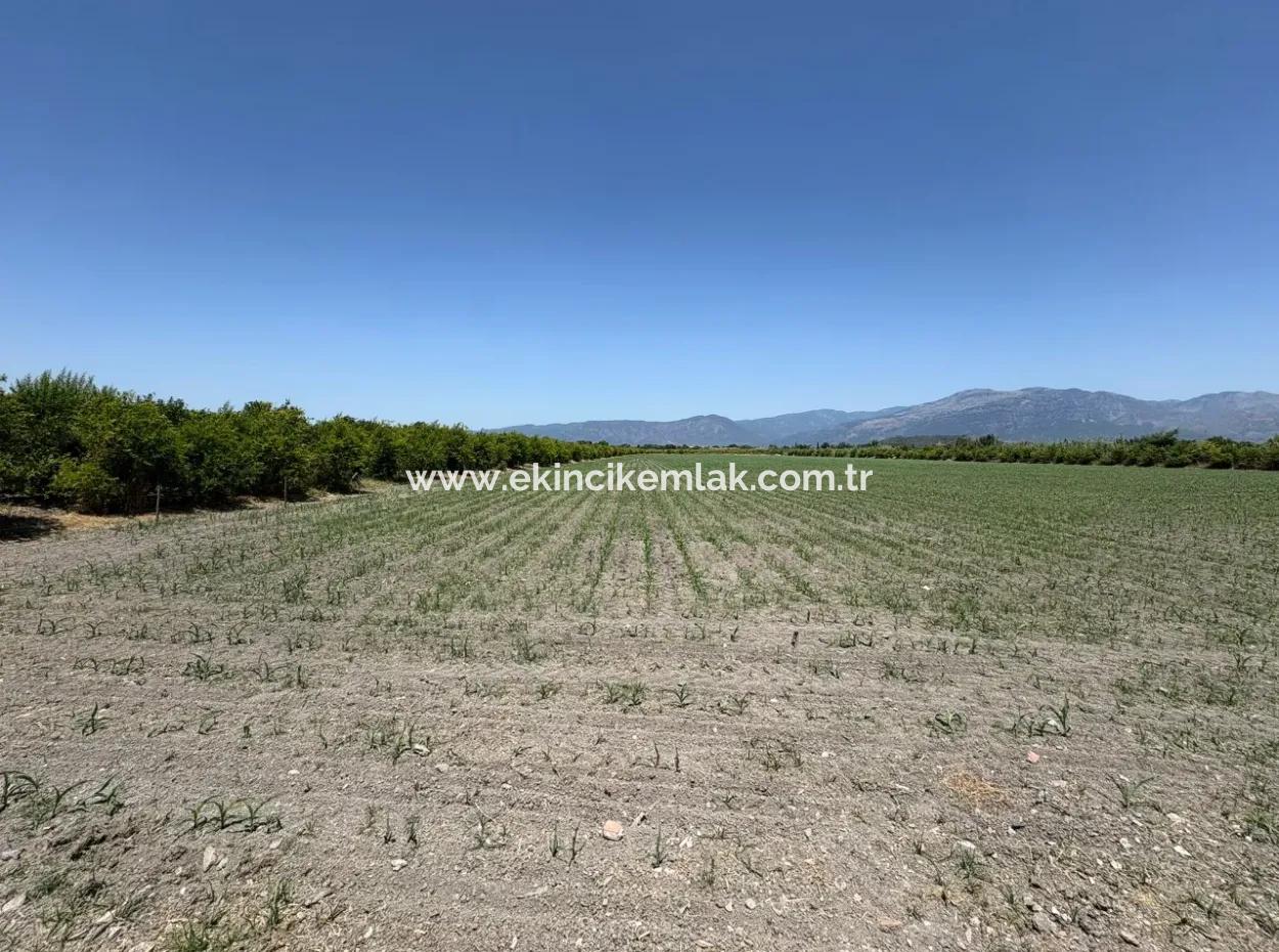 Tepearası'nda 46,550M2 Satılık Tarla