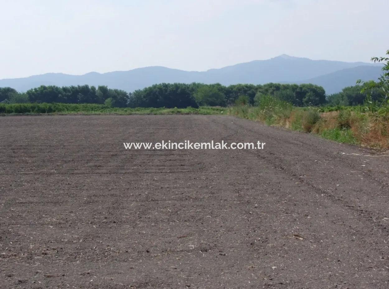 Eskiköyde Satılık Arsa Tarla Ortaca Dalyan Eskiköyde 15,760M2 Satlık Arsa Tarla