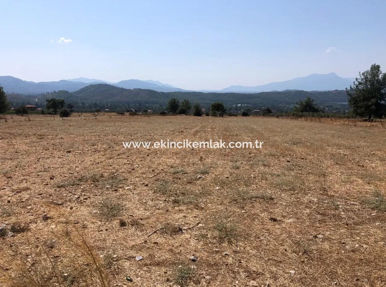 Köyceğiz Zeytinalanı'nda Göl Manzaralı 11.227M2 Satılık Arsa
