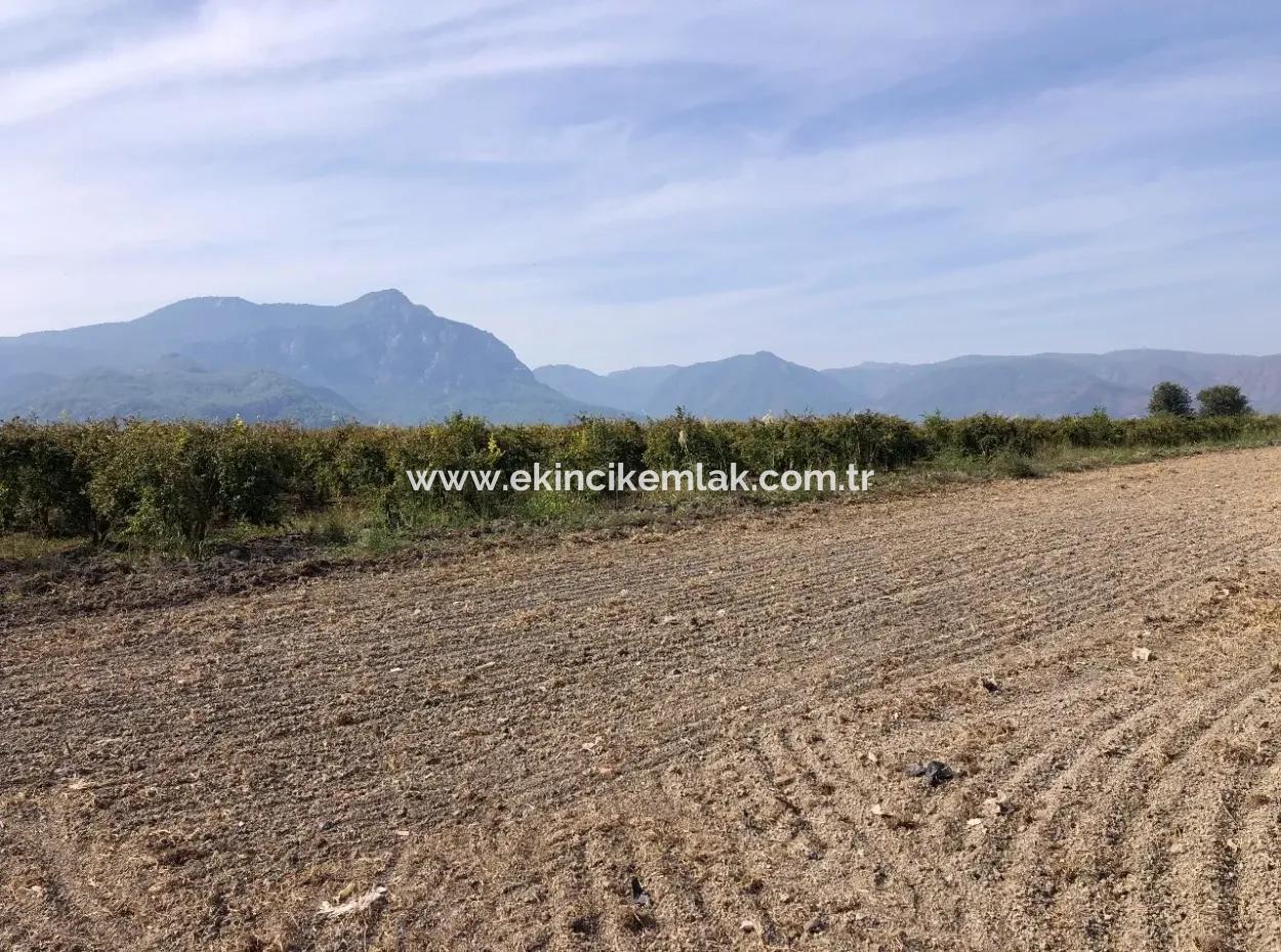 Esköyde Satılık Tarla Arsa 8500M2 Satılık Tarla Arsa