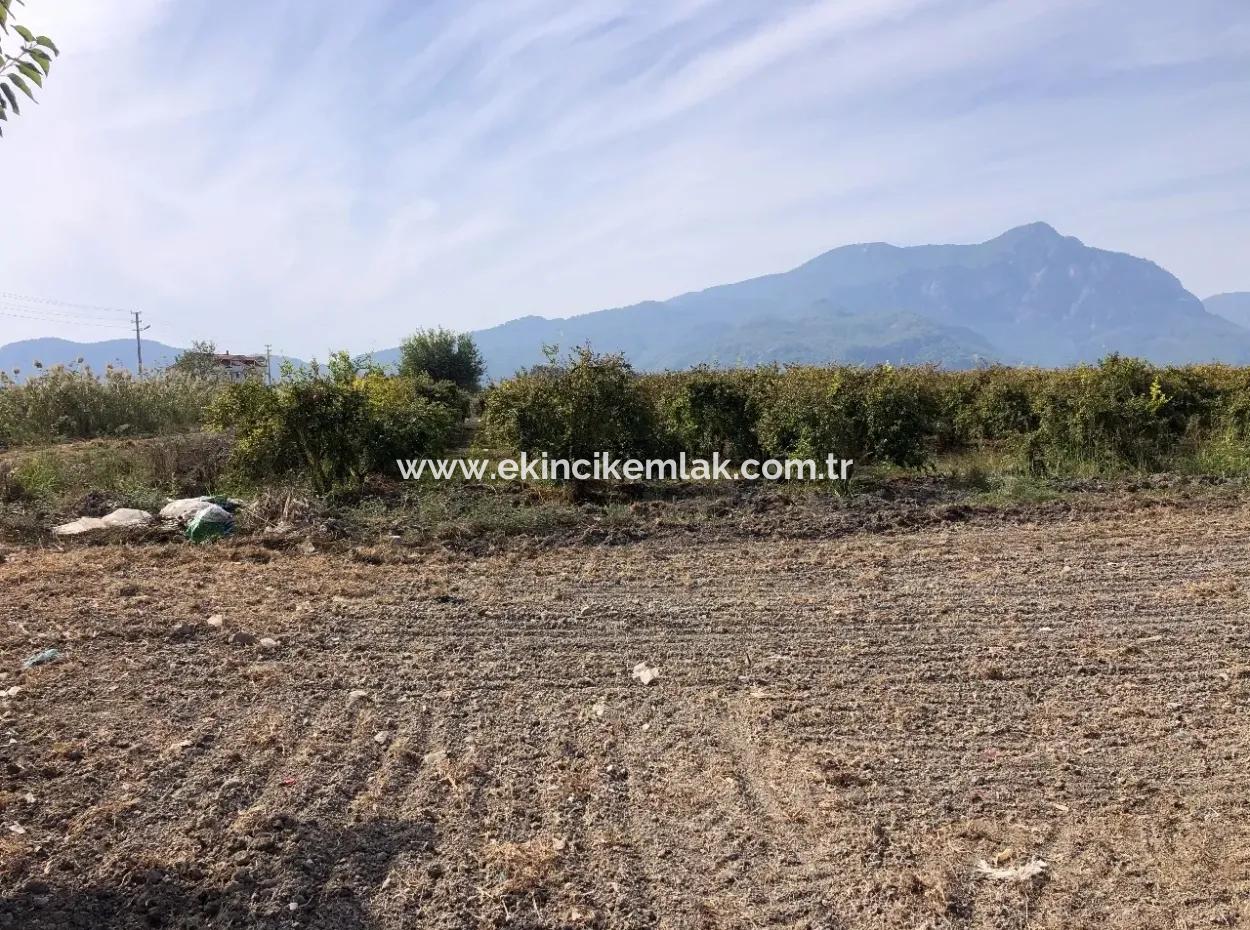 Esköyde Satılık Tarla Arsa 8500M2 Satılık Tarla Arsa
