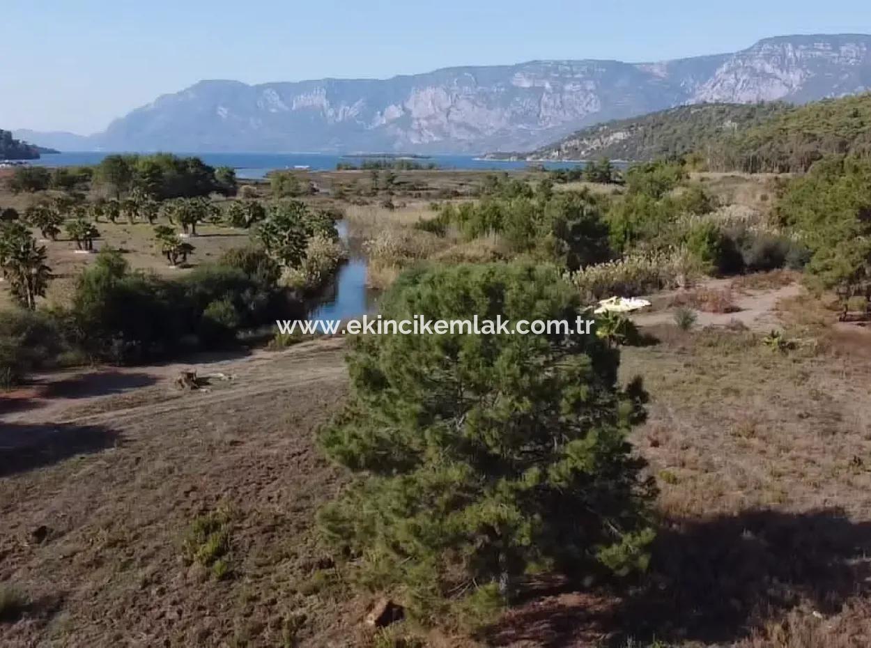 Çamlıda Satılık Arsa Arazi Marmaris Çamlıda Deniz Manzaralı 11720M2 Satılık Arsa
