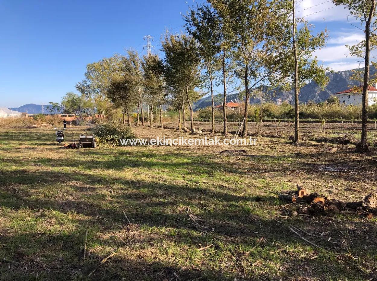 Dalyan'da 2540M2 Satılık Arsa
