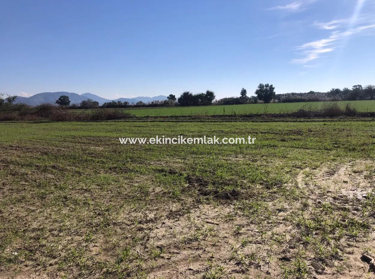 Sarıgermede Satılık Arsa Deniz Manzaralı 30,000M2 Satılık Arsa