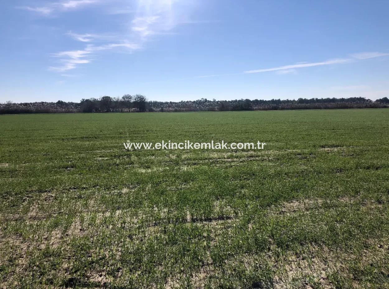 Sarıgermede Satılık Arsa Deniz Manzaralı 30,000M2 Satılık Arsa