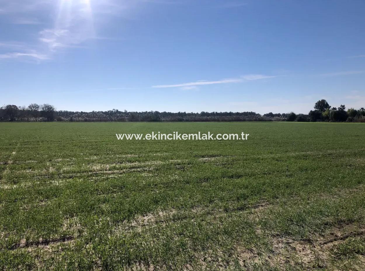 Sarıgermede Satılık Arsa Deniz Manzaralı 30,000M2 Satılık Arsa