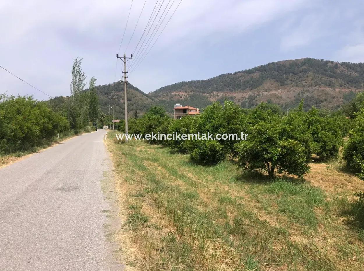 Ekşiliyurtda 1085M2 Satılık Arsa