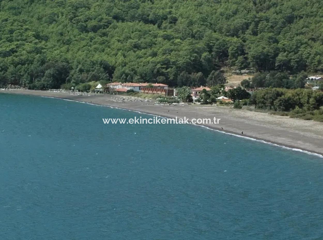Ekincik Satılık Arsa Full Deniz Manzaralı 10885M2 Denize Bir Parsel Satılık Arsa