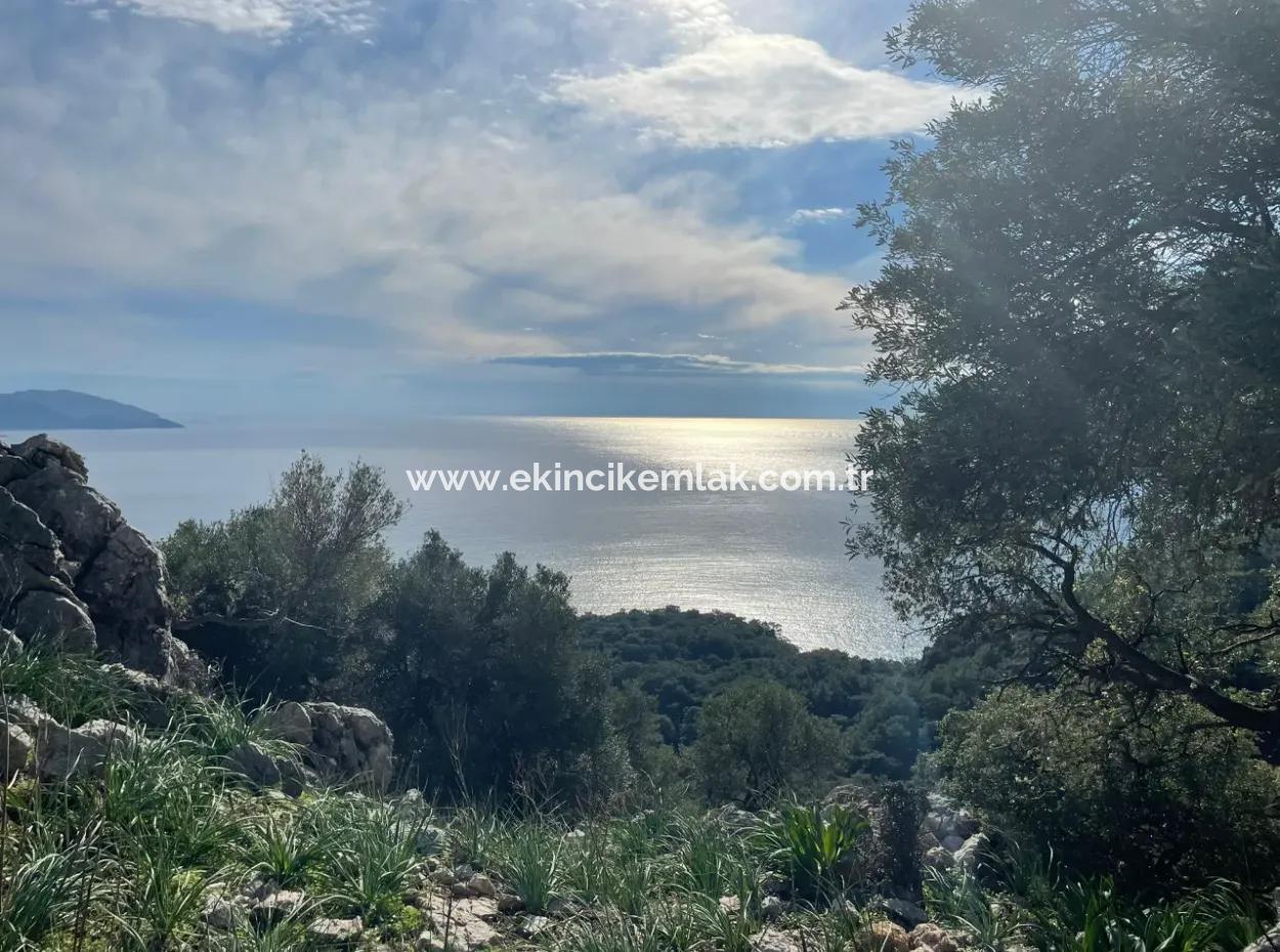 Ekincik'de Full Deniz Manzaralı Satılık 8,900M2 Tarla