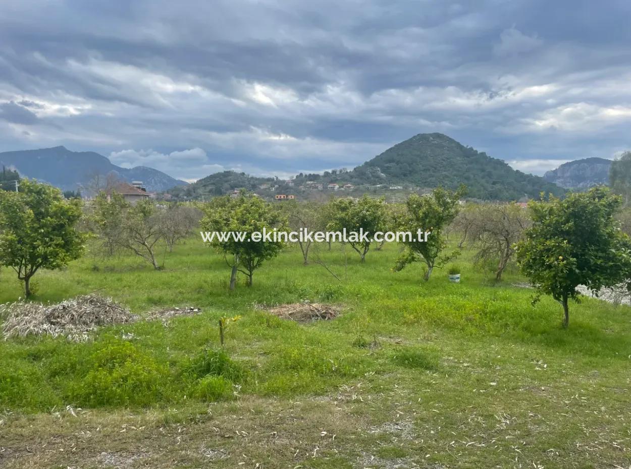 Dalyan Satılık Butik Otel 11.000M2 Arsa İçinde Satılık Bungolevler