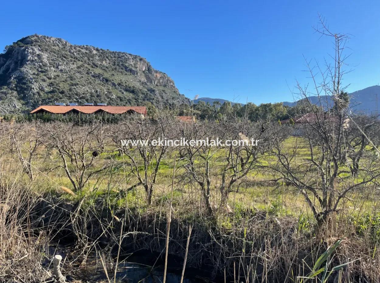 Dalyan İztuzu Yoluna Sıfır 5216M2 Satılık Tarla Arsa