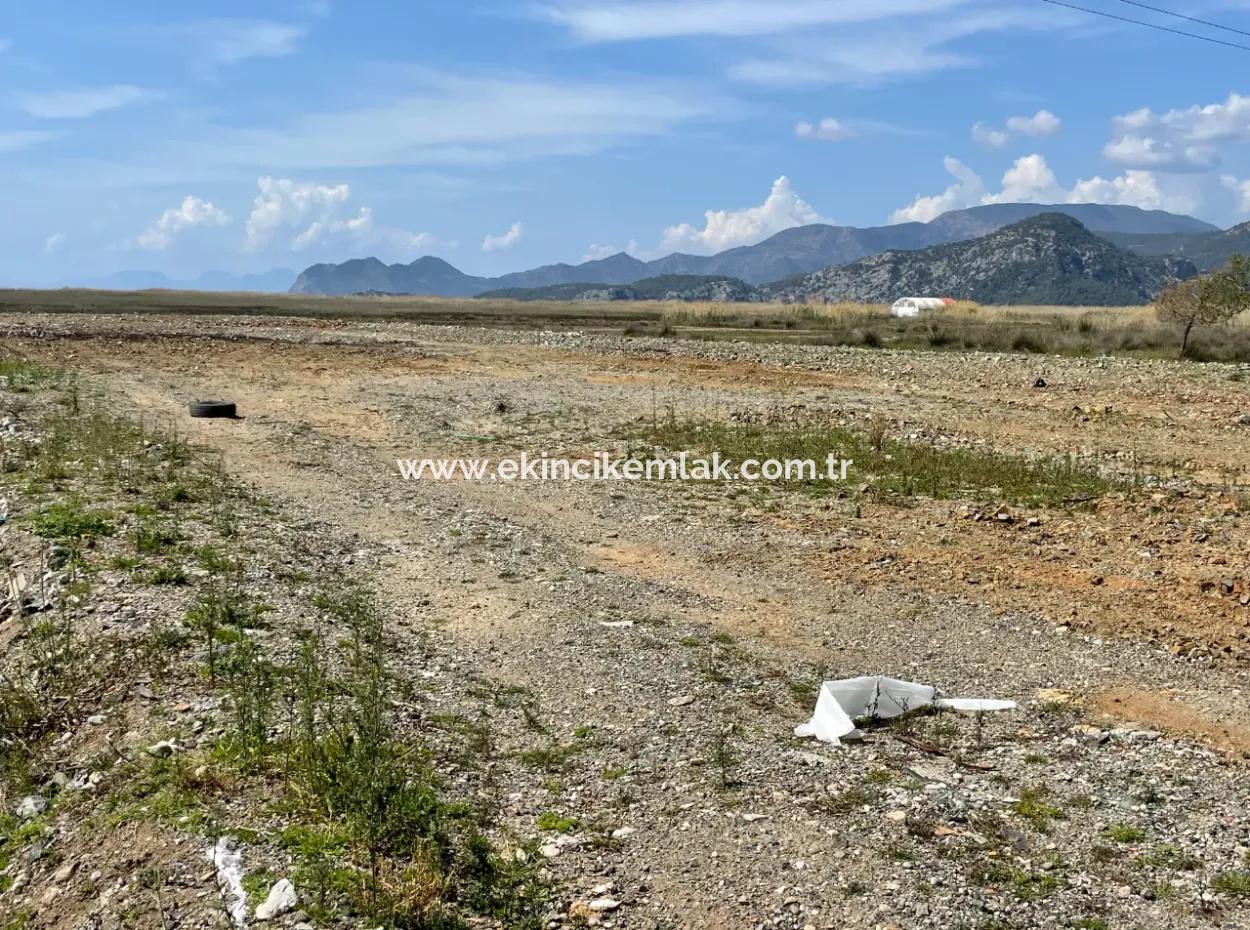 Dalyan İztuzu Plaj Yoluna Sıfır 19,600M2 Satılık Tarla Arazi
