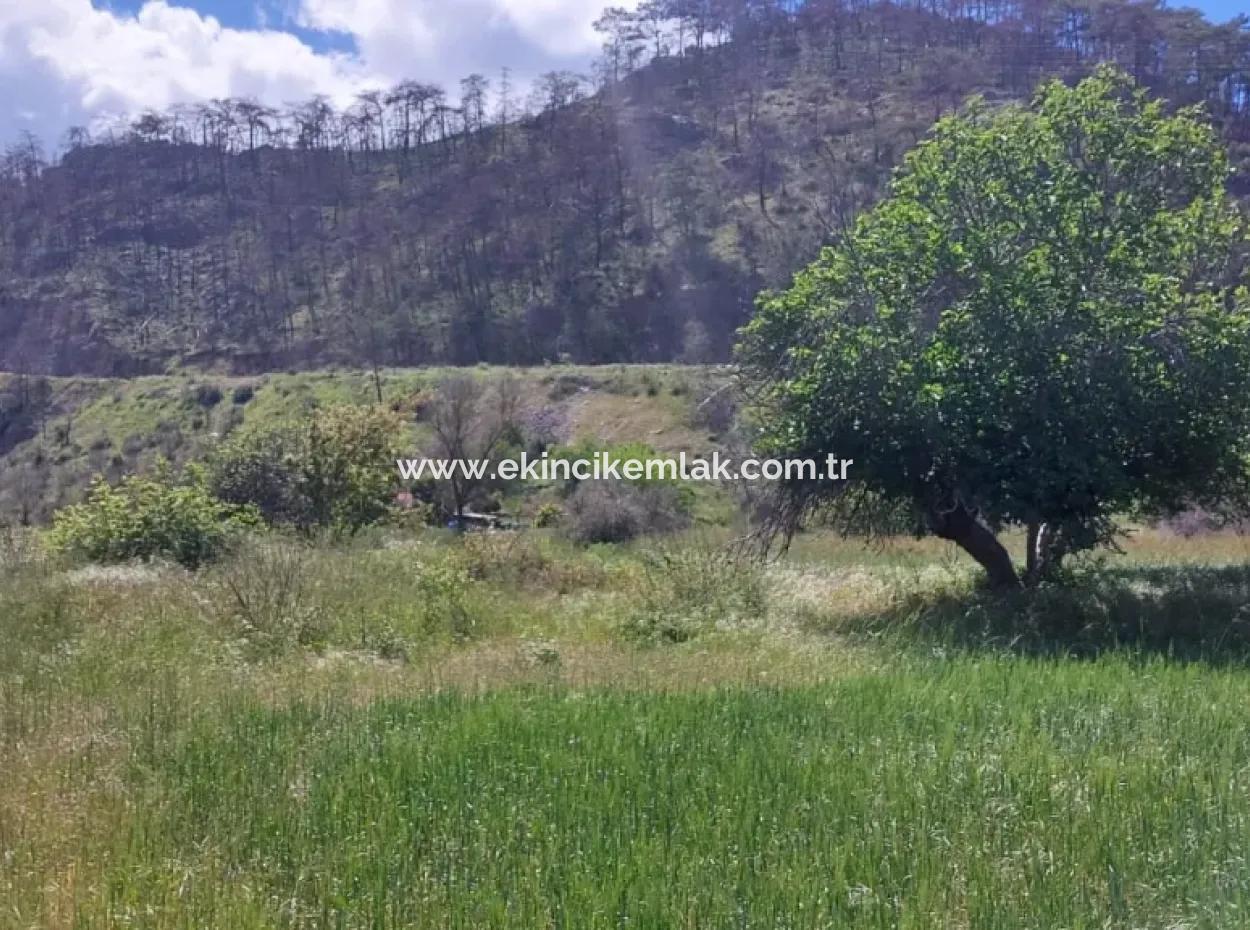 Marmaris Turgut Yatırımlık Satılık 29600M2 Satılık Arazi