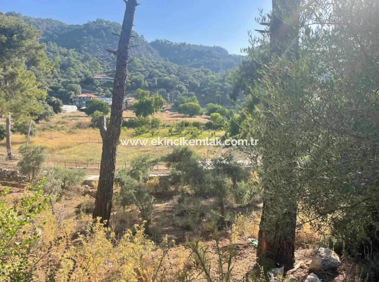 Çandır Merkezde Ormana Sıfır 1,320M2 Satılık Tarla