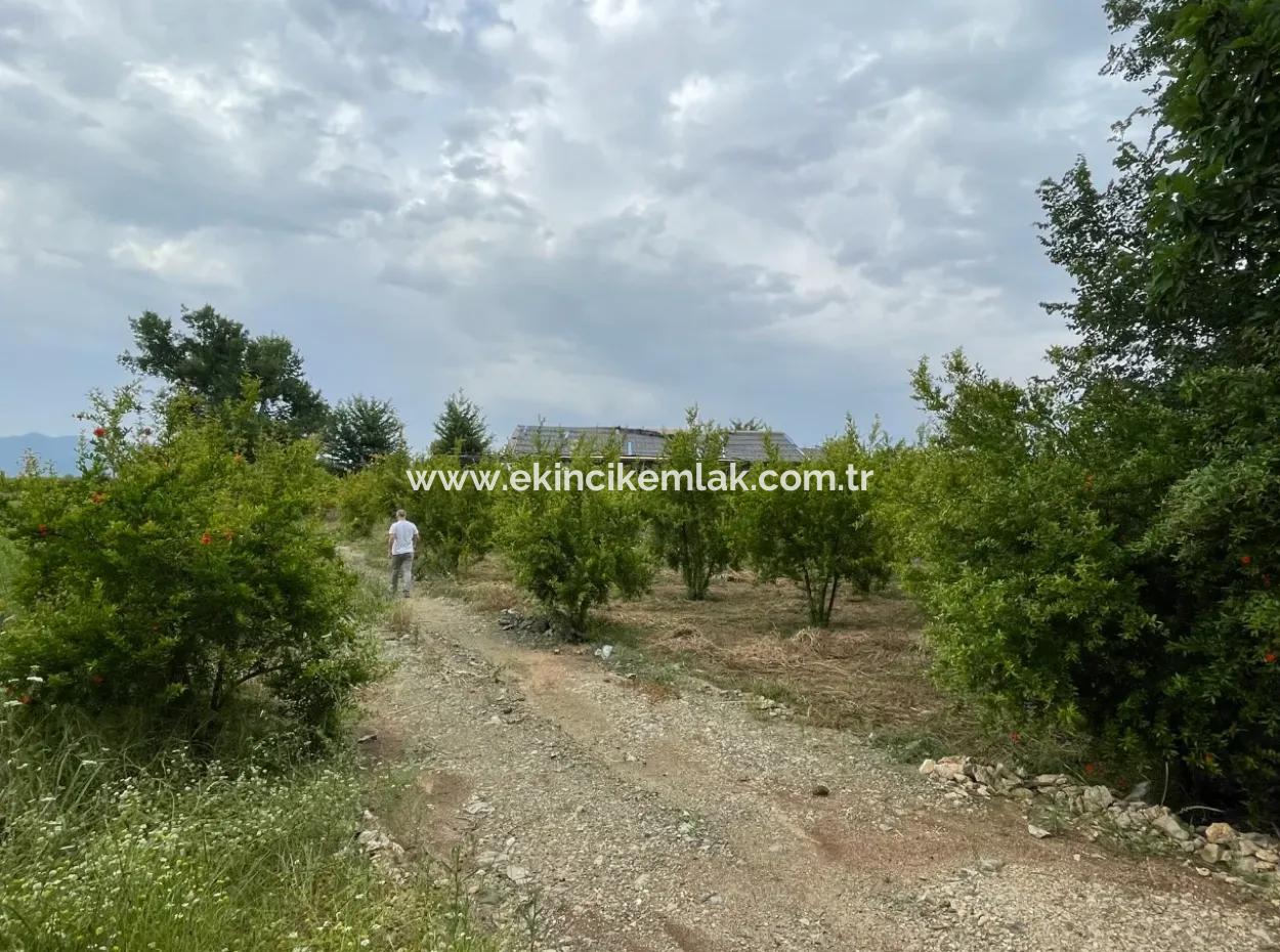 Dalyan''da Merkeze Yakın 2,528M2 Satılık Tarla