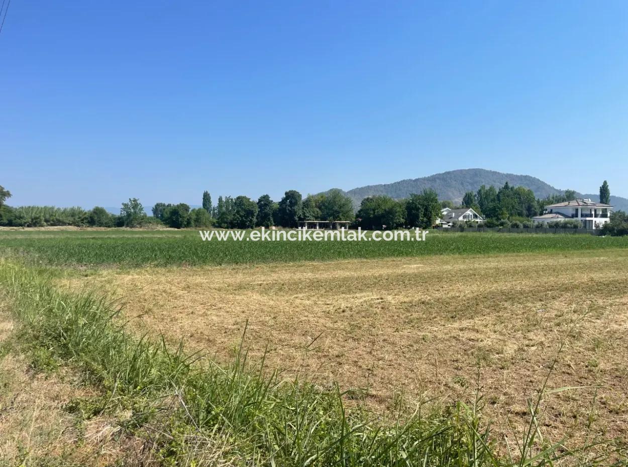 Okçular'da Köy Yerleşik Alanda 2715M2 Satılık Arsa