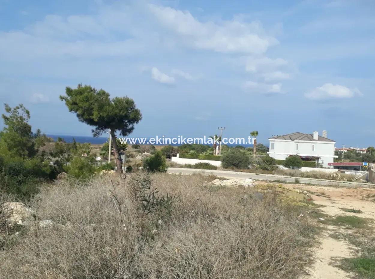 Çeşme Dalyan Mahallesinde Full Deniz Manzaralı 1176M2 İmarlı Satılık Arsa