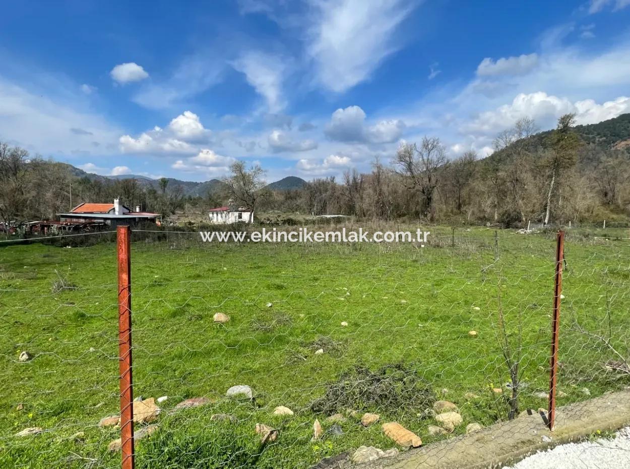 Sultaniye Büyükkaraç Mahallesin Satılık Tarla