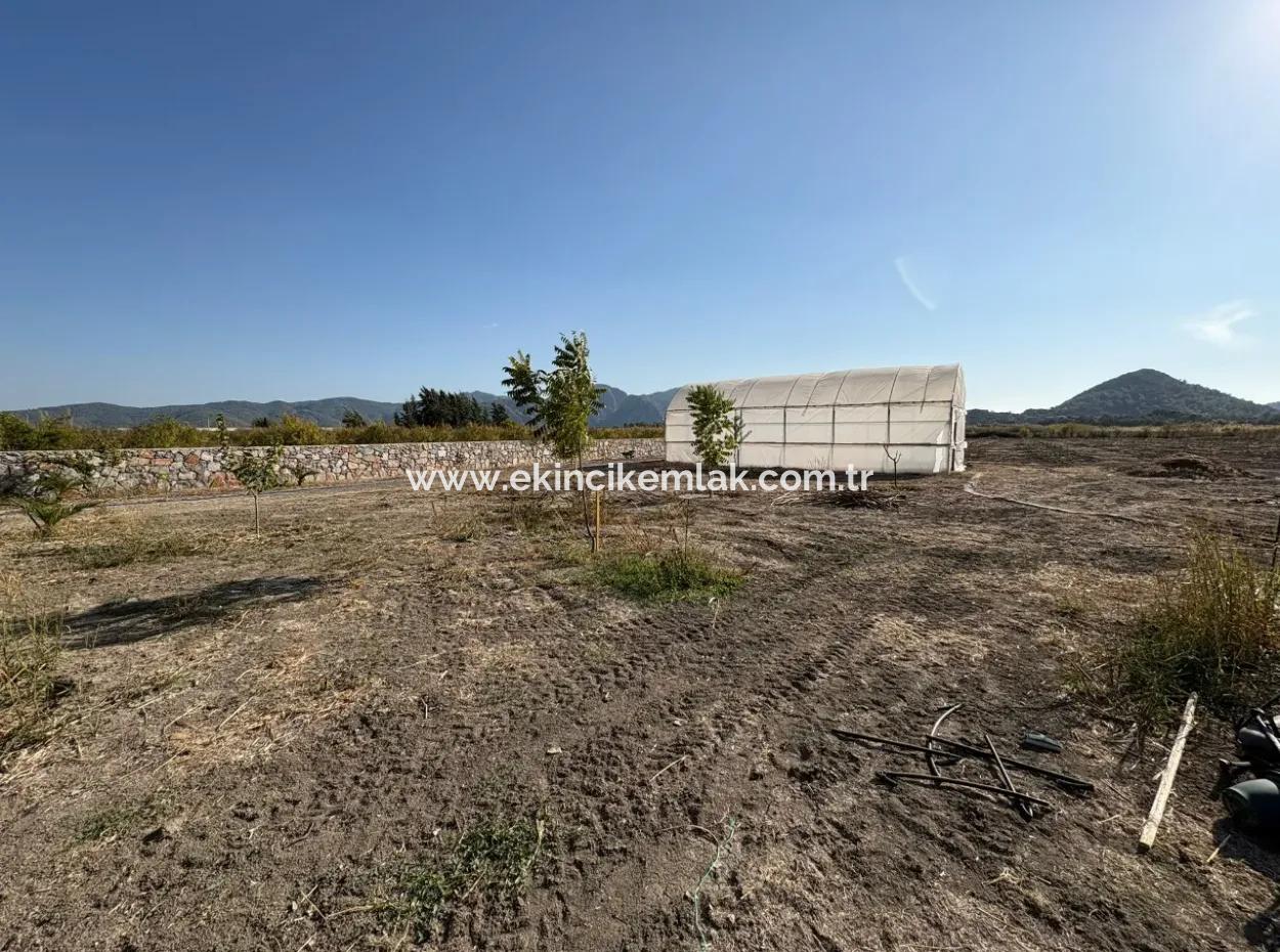 Eskiköy'de 19.663M2 Çiftlik Arazisi Ve Ev Satılıktır